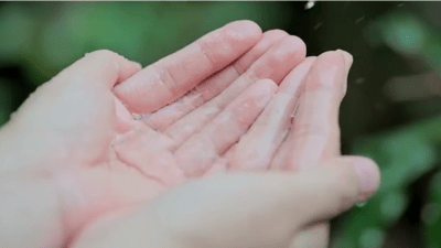 Читая книгу Масару Эмото «Послание воды»