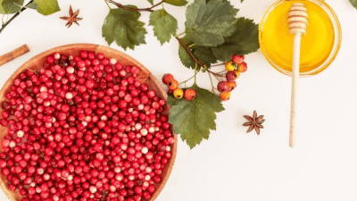 Как приготовить ферментированный клюквенный соус для здорового пищеварения