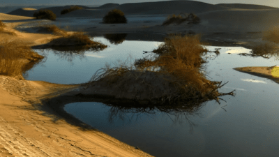 Очарование самой жаркой Долины Смерти после дождливой погоды