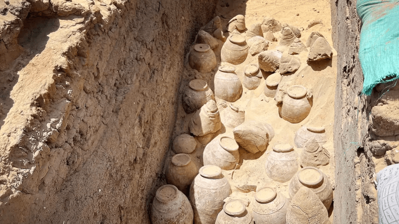 (SWNS)   | Epoch Times Россия