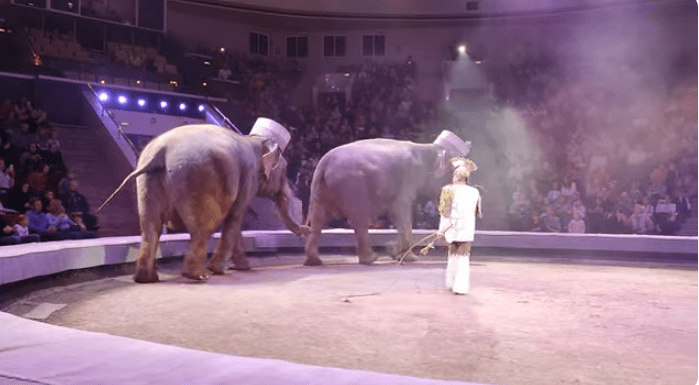  (Фото: скриншот/Татьяна Аксёнова/youtube.com) | Epoch Times Россия