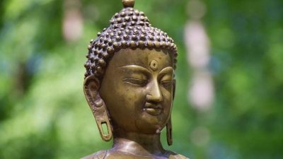 У всех нас есть как минимум три глаза — один внутри головы