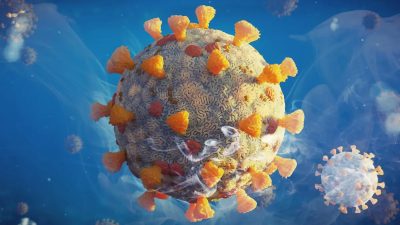 Новый вариант COVID распространяется в США, но риск невелик, считают эксперты