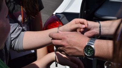 В Приморье запустили официальный чат-бот для доносов