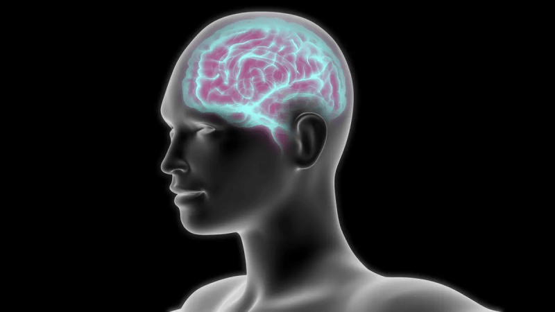 (Magic mine/Shutterstock) | Epoch Times Россия