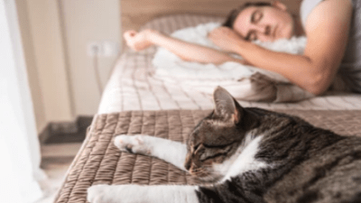 Как научиться высыпаться: шесть советов от эксперта