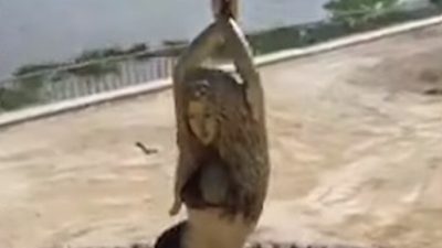 В Колумбии установили 6-метровый памятник певице Шакире (видео)