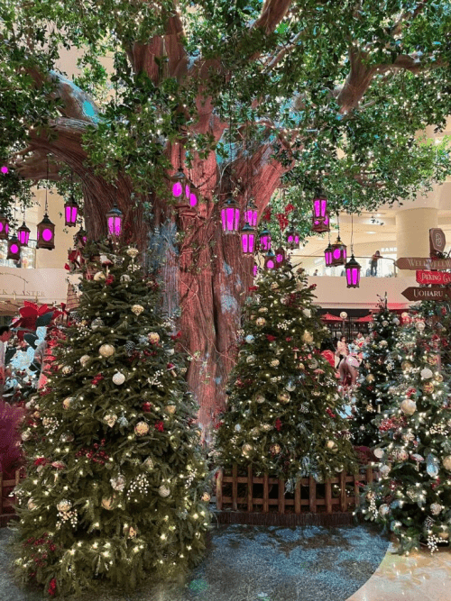 Рождество в Гонконге — незабываемое событие даже для самого бывалого путешественника