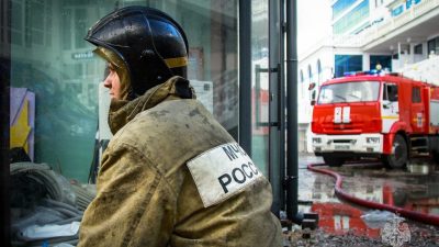 На Камчатке спасатель реанимировал собаку после пожара (видео)