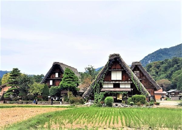 Сказочные хижины японской деревни Гассё