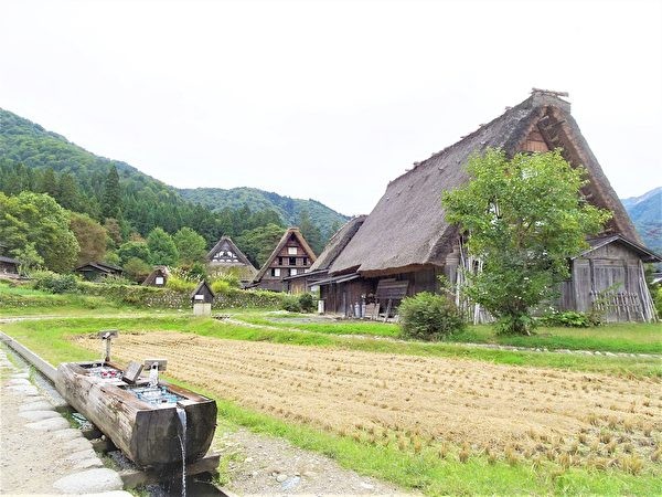 Сказочные хижины японской деревни Гассё