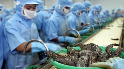Япония переносит центр переработки морепродуктов из Китая во Вьетнам из-за аварии на Фукусиме