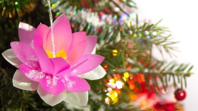 С Новым 2024 годом!