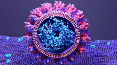 Япония одобрила первую в мире «саморазмножающуюся» sa-РНК-вакцину против COVID-19