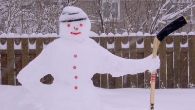 Прогноз по Москве: Снег спокойно долежит до Нового года