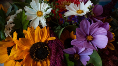 Цветочные композиции Олимпийского полуострова