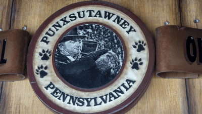 Животные-ясновидцы: тайны предсказания будущего