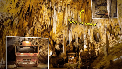 В пещере долины Шенандоа, Вирджиния, установлен орга́н, духовыми трубами которому служат сталактиты