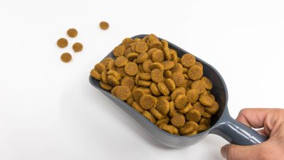 Производитель кормов Hill’s для кошек и собак не получал жалоб от России