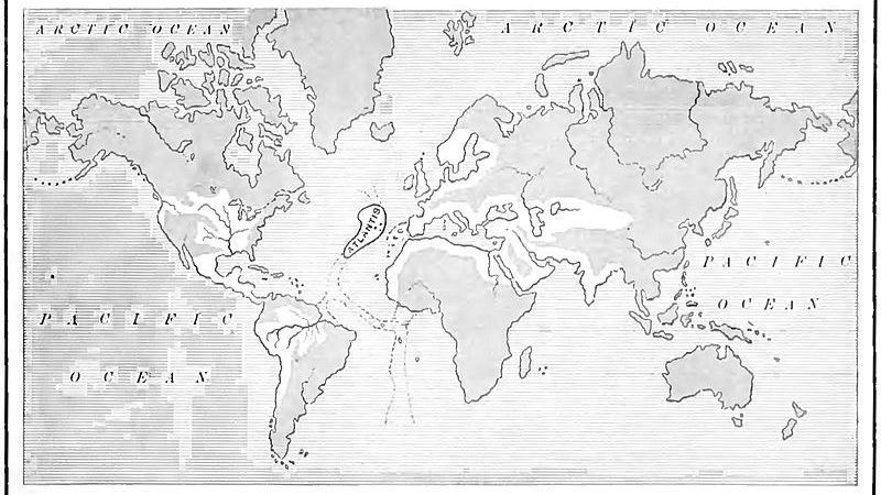 Версия Игнатиуса Доннелли с Атлантическим морем