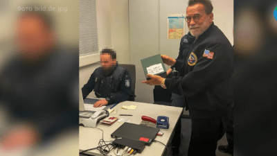 Шварценеггеру назначили штраф в €35 тыс. за провоз дорогих часов