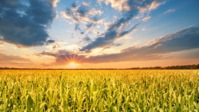 Честность и благодарность приводят к благословениям