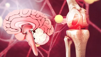 Как хроническая боль приводит к ожирению, и что с этим делать