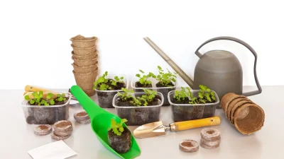 Садовый старт: советы по организации собственного питомника