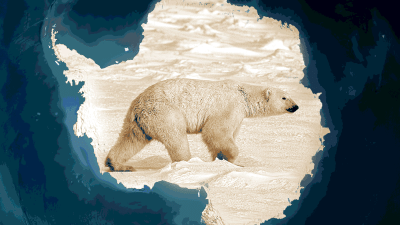 ООН заявляет, что таяние арктических льдов показывает изменение климата, но они не тают