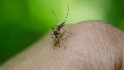 В больницах столицы Бразилии не осталось свободных мест из-за лихорадки денге