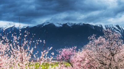 Любовь и предательство длиной в 20 лет в древнем Китае
