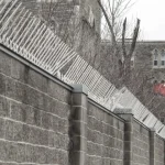 В международном сообществе усиливается недоверие к китайским студентам и учёным из-за возможного шпионажа