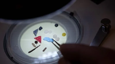 Учёные обнаружили токсичный микропластик в каждой протестированной плаценте человека