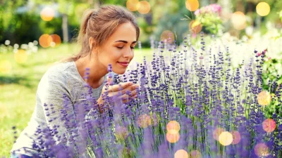 Ароматерапия во дворе: как создать благоухающий сад
