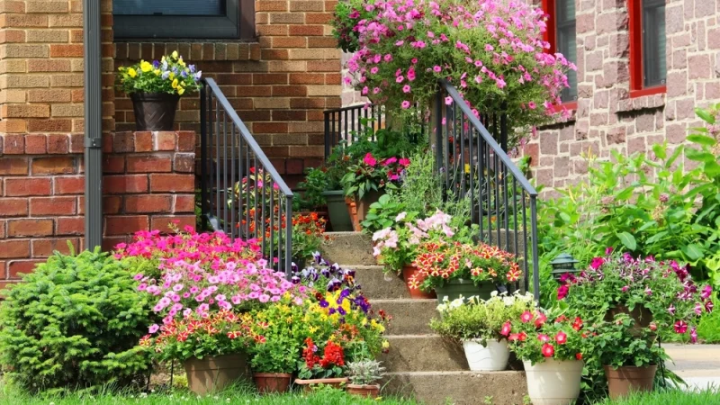 Контейнерные сады украсят вход в дом. (MarynaG/Shutterstock)   | Epoch Times Россия