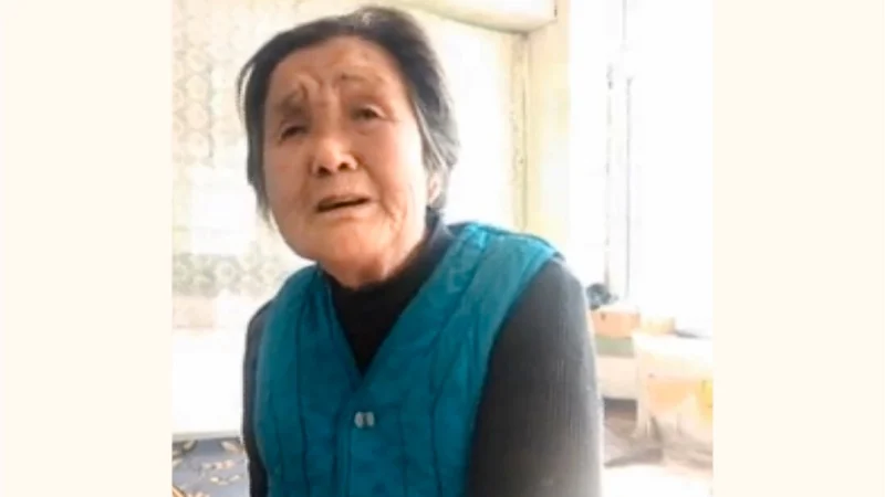 Лю Юйин. (minghui.org) | Epoch Times Россия