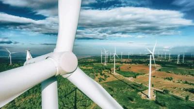 Инфразвук от ветряных турбин представляет «огромную угрозу для всего биоразнообразия», заявила врач