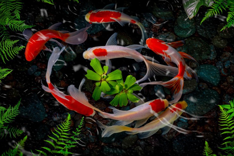 История об истинной красоте «уродливой женщины», ставшей императрицей Китая