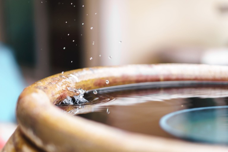 Непреходящие ценности: честность и бережливость премьер-министра Сыма Гуана