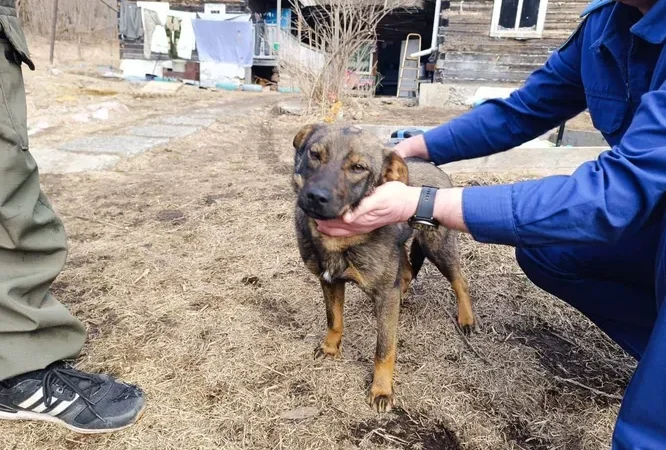 Скриншот/t.me/rt_russian | Epoch Times Россия