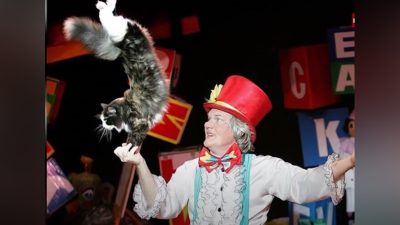 Дрессировщика кошек Юрия Куклачёва госпитализировали с юбилейного шоу