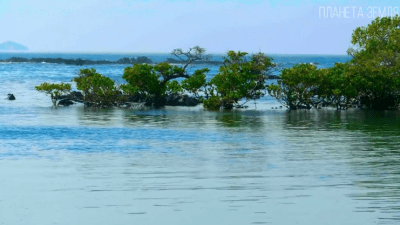 Галапагосы — черепашьи острова
