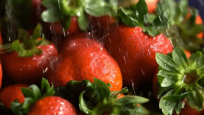 Клубника: ароматная, вкусная и полезная ягода