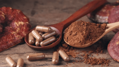 Лекарственные грибы: кордицепс, рейши и львиная грива. Часть 4