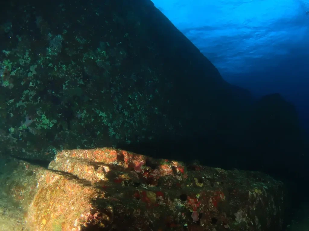 Деталь, изображающая скальную поверхность монумента Йонагуни. (Courtesy of Freediver HD)