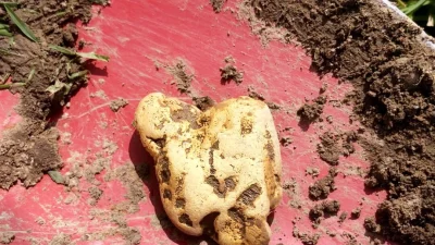 Самый большой золотой самородок в Англии найден с помощью неисправного металлоискателя