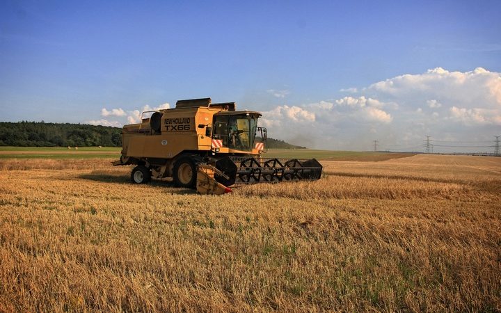  Фото: (pxhere.com/СС0) | Epoch Times Россия