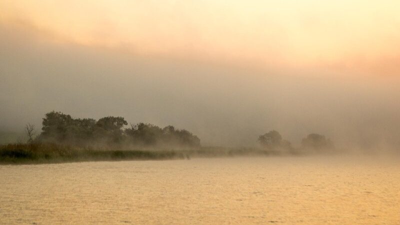 Влияние естественного света на фотографию: картину рисует природа