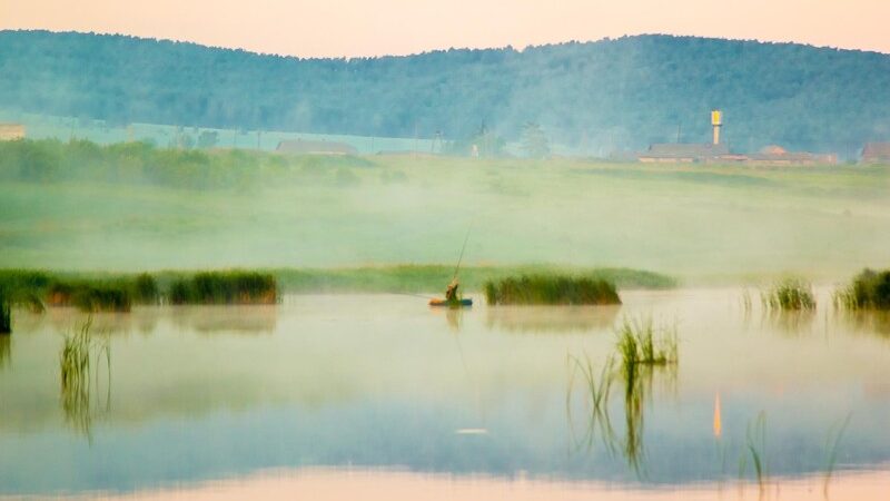 Влияние естественного света на фотографию: картину рисует природа