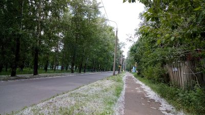 Иммунолог: Аллергия не связана с тополиным пухом